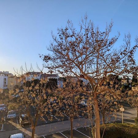 Appartement Cosy Avec Parking Proche Port Et Plage Agde Buitenkant foto